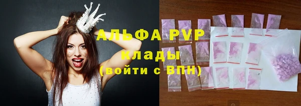 тгк Абаза