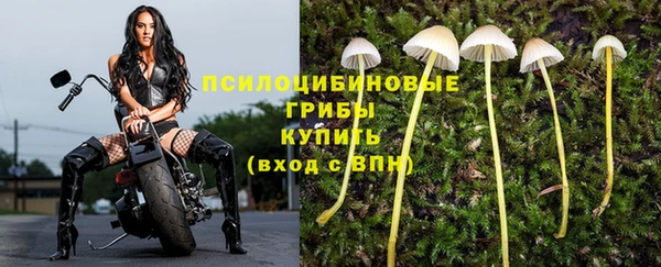 твердый Осинники