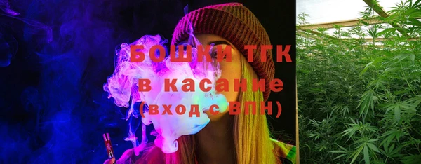 тгк Абаза