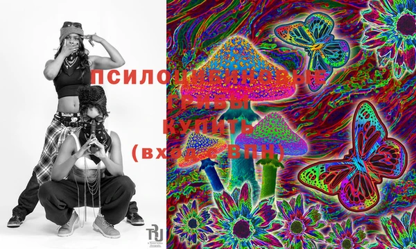 твердый Осинники